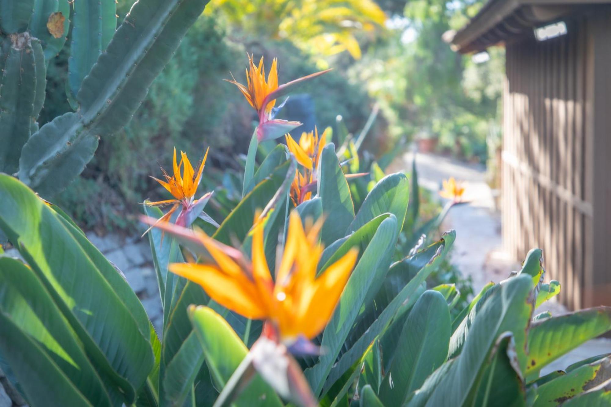 Nature Focused Villa Designed For Wellness Fallbrook Exterior photo
